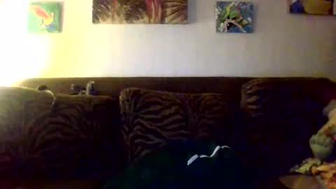 Snapshot of jay_jay1475 chatting on October 11, 10:36 pm jay-jay1475 online show from October 11, 10:36 pm