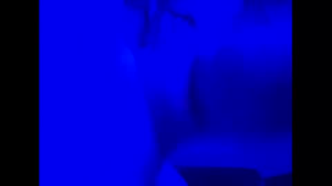 jaywild12 online show from November 25, 11:01 am