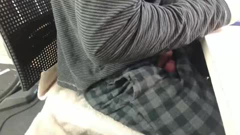 jc200000 online show from April 29, 5:30 pm