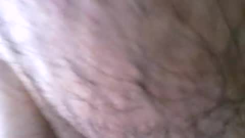 jcadx69 online show from October 16, 12:24 pm