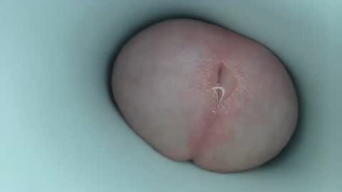 jeffrodgerschaturbat online show from April 6, 4:46 am