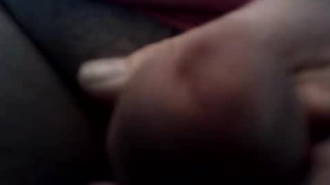 JoeEBear online show from September 29, 2:46 pm