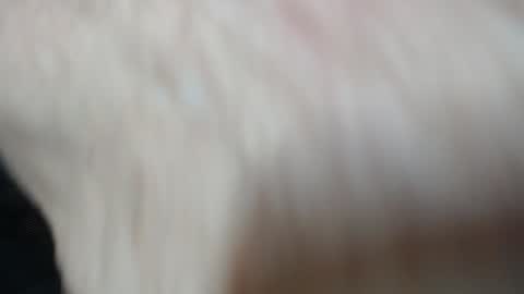 Jim online show from December 28, 5:57 pm