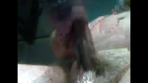 Snapshot of jimboluv488 chatting on December 31, 1:47 am jimboluv488 online show from December 31, 1:47 am