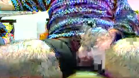 jimii281 online show from March 30, 8:21 pm