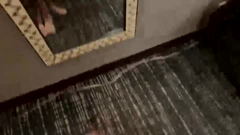 jm69044 online show from October 3, 11:21 pm