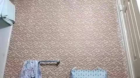 johnnnyhotty1 online show from November 16, 1:35 pm