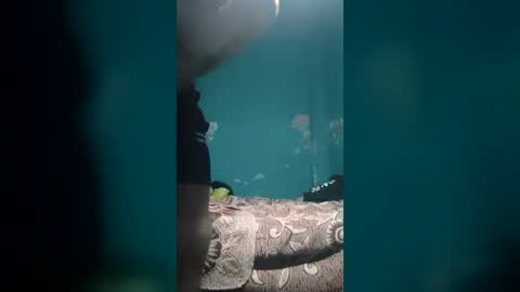josealarcon199424 online show from August 7, 7:26 am
