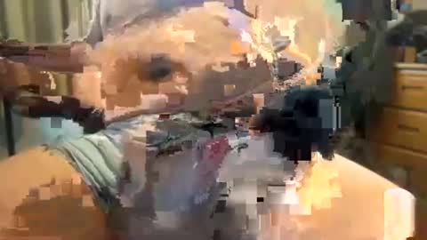 jotoronto online show from April 15, 8:42 pm