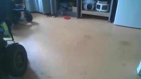 JohnnySexe59 online show from March 25, 9:24 am