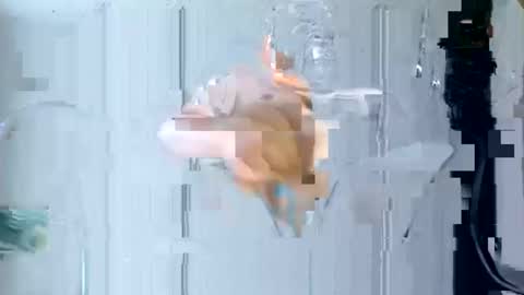 juan575390 online show from January 29, 12:13 pm