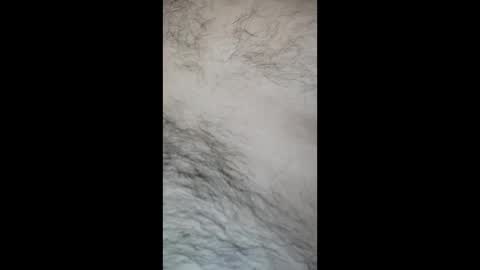 juegopromax707909 online show from April 27, 11:18 am