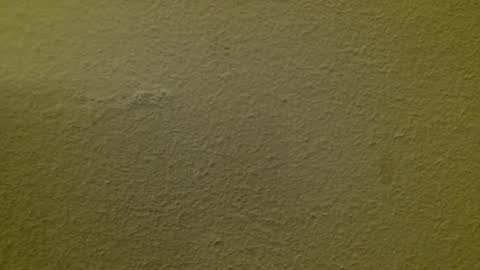 Just marlon online show from February 23, 8:42 pm