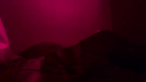 Call me Just online show from December 26, 12:38 pm