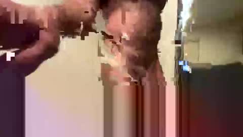 juuneet online show from October 25, 11:23 am