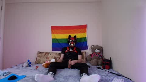 Alex online show from April 16, 8:09 pm