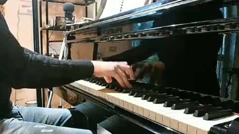 king7045 online show from December 13, 11:02 am