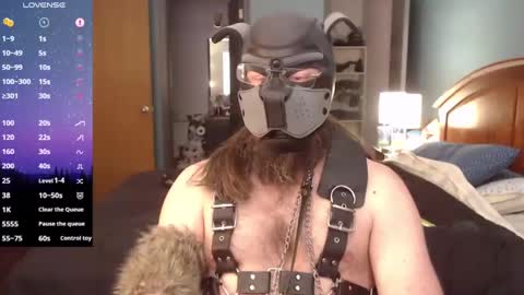 Snapshot of kinkywolf87 chatting on January 16, 6:16 pm kinkywolf87 online show from January 16, 6:16 pm