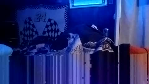 Snapshot of knock2wice1975 chatting on January 20, 4:32 am knock2wice1975 online show from January 20, 4:32 am