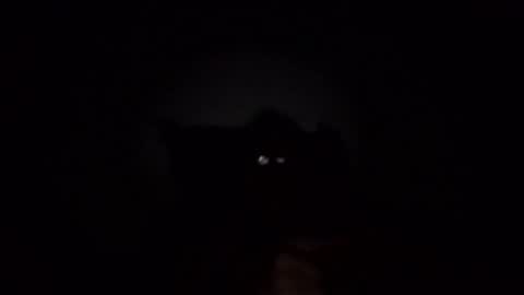 kobolt67 online show from November 23, 3:50 am