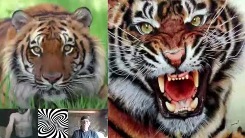 kodiakpm1 online show from November 12, 6:13 pm