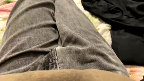 kpcloud255498 online show from January 11, 2:52 am