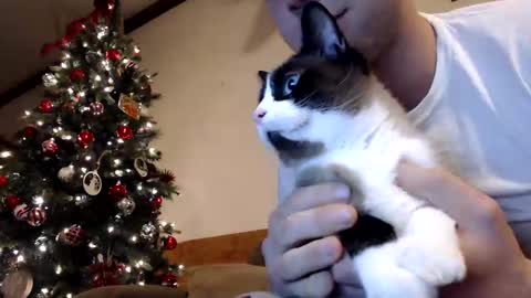 Lance online show from December 30, 1:04 am