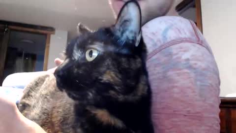 Lance online show from March 3, 12:34 am