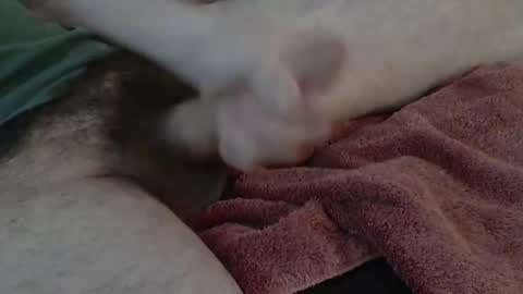 latinmix76 online show from March 11, 9:00 pm