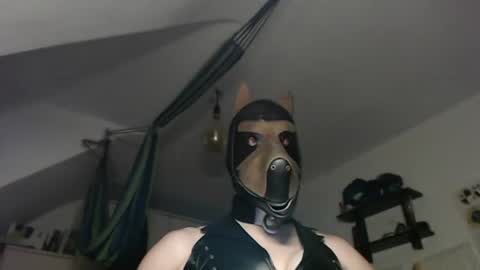 Leather Dog online show from August 4, 12:16 am