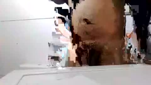 ledrexd online show from December 5, 5:18 pm