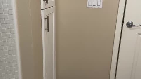 Lex North online show from November 17, 8:23 pm