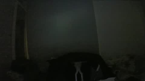 lily lovelyman online show from January 9, 6:57 pm