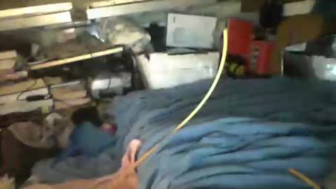 littlejay             littlejay online show from October 4, 7:02 am