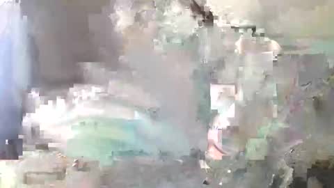 loganpax online show from October 26, 11:01 am