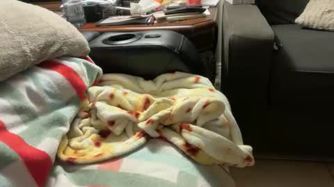 logical12345 online show from November 24, 6:25 am