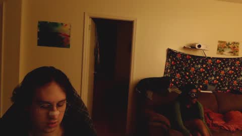 Snapshot of loosegoose420 chatting on January 2, 2:00 am Peter and Ash online show from January 2, 2:00 am