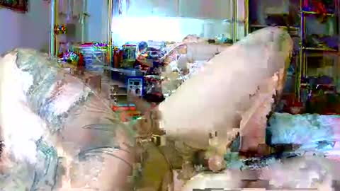 lucky134u online show from March 16, 2:43 pm