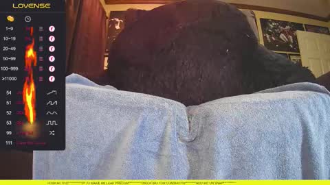 lxbbcxl online show from November 14, 5:10 am