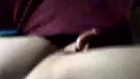 m46162328 online show from November 8, 6:05 am