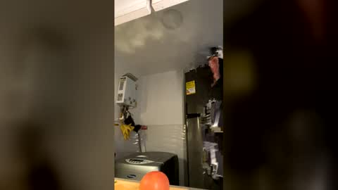 Tony Hoffa online show from December 18, 10:39 pm