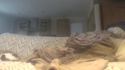 maho0 online show from February 19, 8:44 am