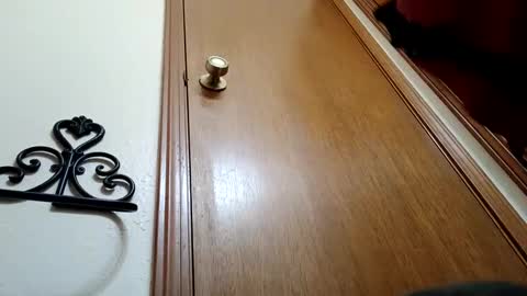 Daddy online show from February 23, 10:34 am