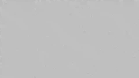 Snapshot of massagem_spa chatting on December 9, 2:56 am Lucas online show from December 9, 2:56 am