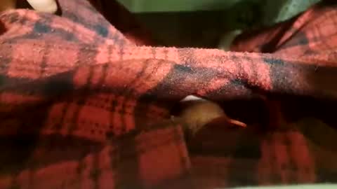 mattca80 online show from April 20, 5:32 am