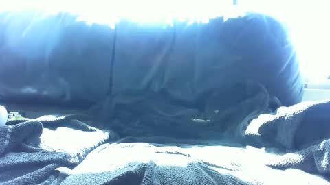 matthias357 online show from January 16, 11:16 pm