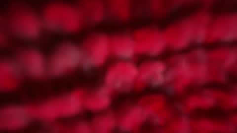 mblaqq online show from April 23, 11:07 pm