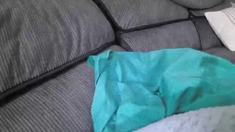 mexianthehawk online show from April 13, 8:37 am