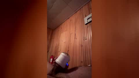 mickolsen1301 online show from January 14, 5:23 am