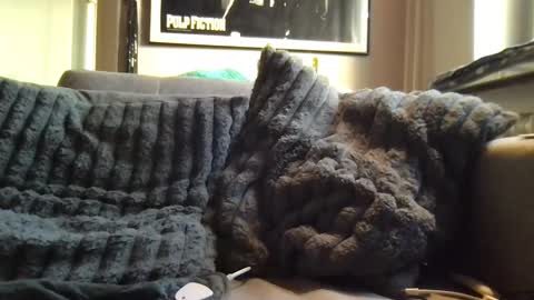 Ben online show from April 9, 10:21 am